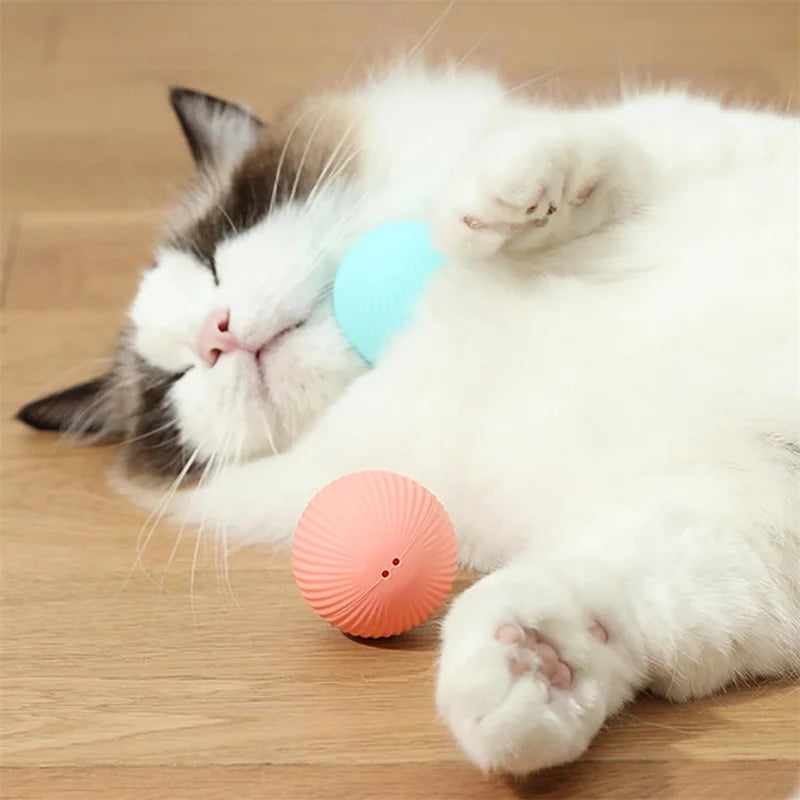 Smart Interactive Pet Ball