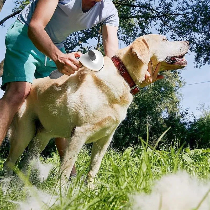 Self-Cleaning Pet Brush