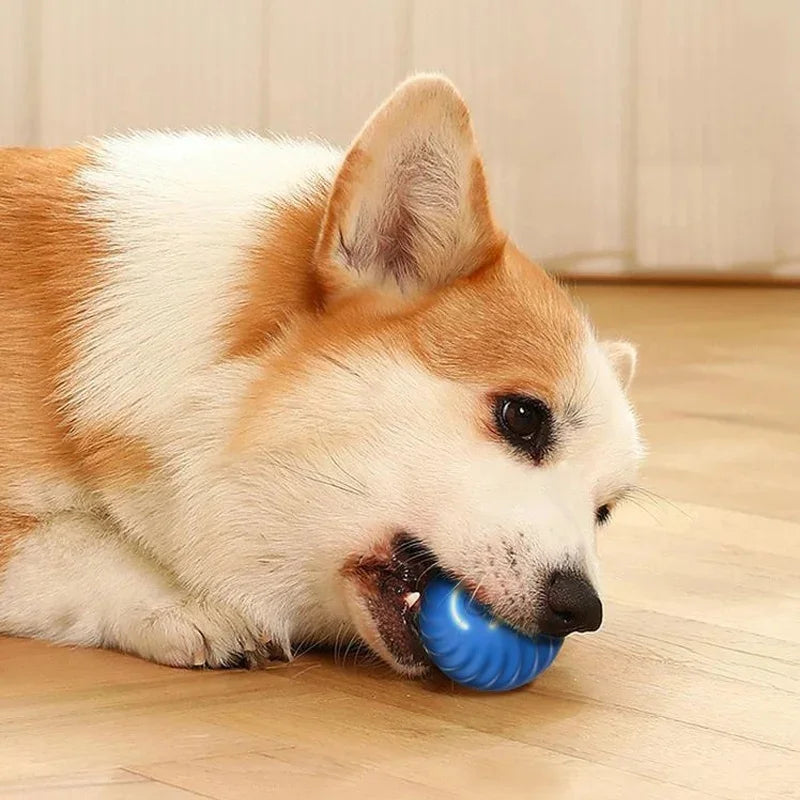 Smart Interactive Pet Ball