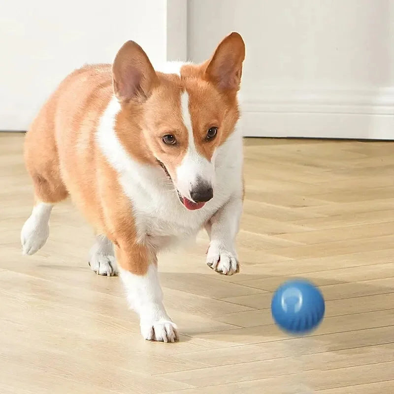 Smart Interactive Pet Ball